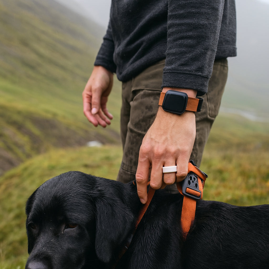 ITGlife® Core Apex Silicone Ring - White